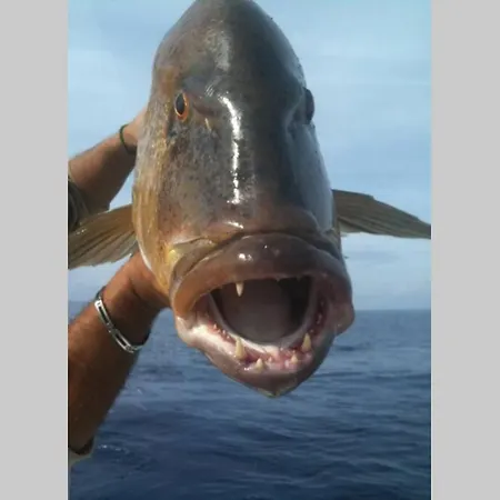 Chez Marco & U Filanciu *