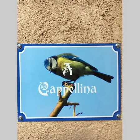 Apartment Chez Marco & U Filanciu Muro (Corsica)