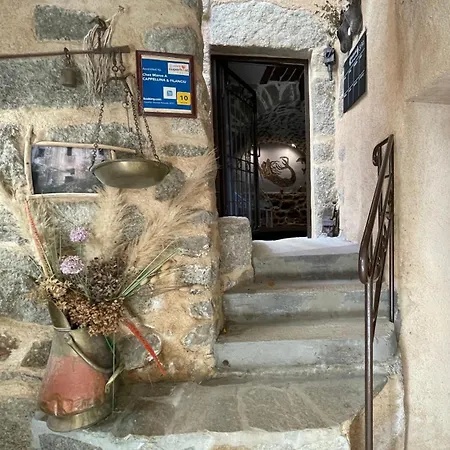 Apartment Chez Marco & U Filanciu