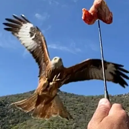 Chez Marco & U Filanciu Apartment Muro (Corsica)