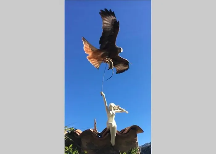 Chez Marco & U Filanciu Apartamento Muro (Corsica)