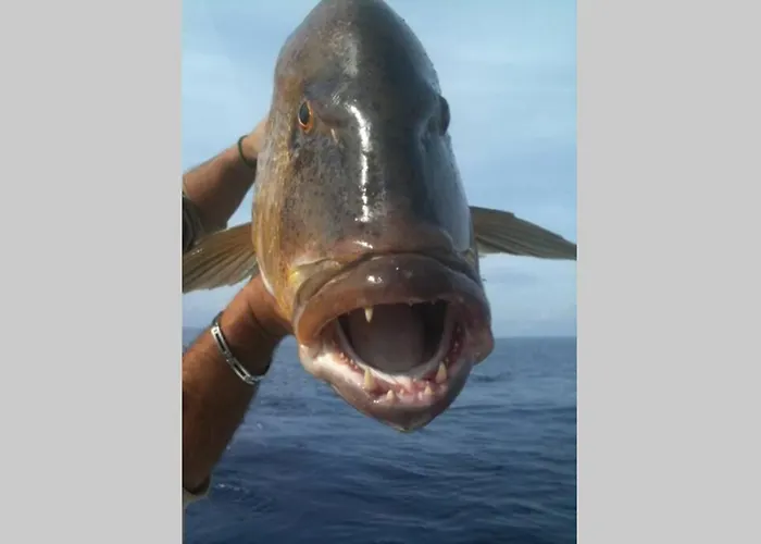 Chez Marco & U Filanciu *