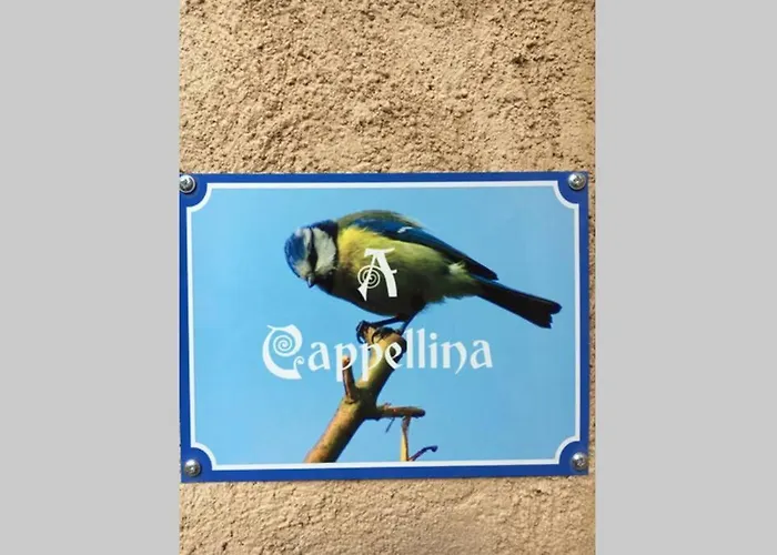 Apartamento Chez Marco & U Filanciu Muro (Corsica)