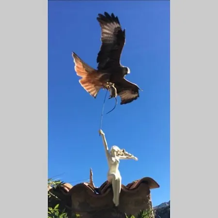 Chez Marco & U Filanciu Lägenhet Muro (Corsica)