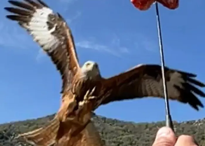 Chez Marco & U Filanciu דירה Muro (Corsica)